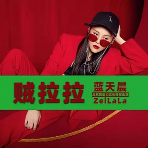 贼拉拉 (DJ王贺版)