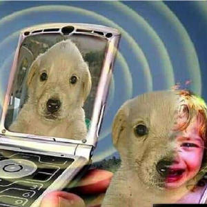 KUTYA LETTEM (HORY Version)