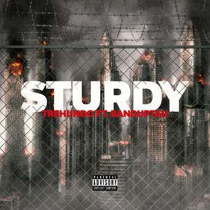 Sturdy (feat. Banduptah) [Explicit]