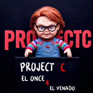 Project C (Explicit)