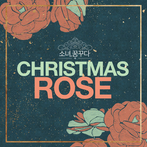 Christmas Rose