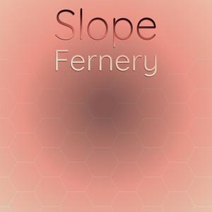 Slope Fernery