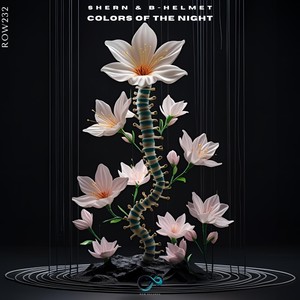 Colors of the Night (Radio Edit)