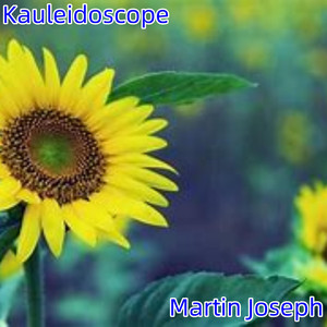 Kauleidoscope