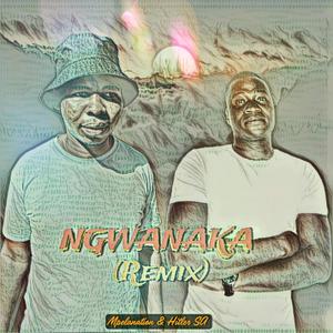 Ngwanaka instrument (Hitler SA) (feat. Mpelanation) [Radio Edit]