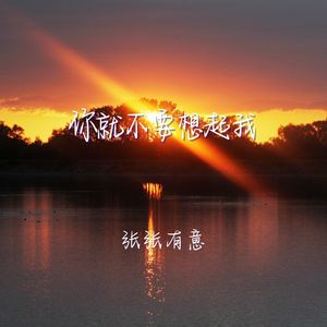 你就不要想起我