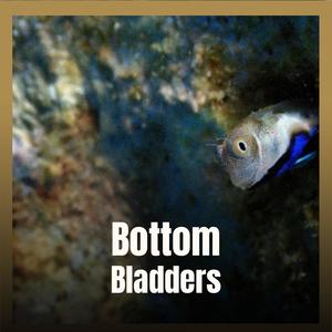 Bottom Bladders