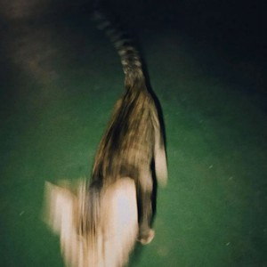 Sua Mentira Bateu Na Minha Porta (Explicit)