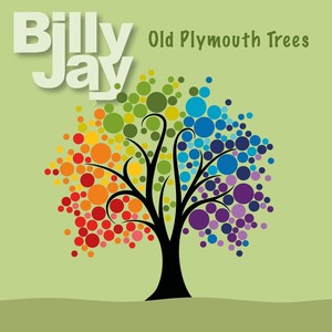 Old Plymouth Trees