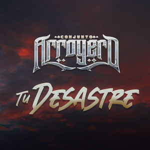 Tu Desastre