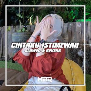 DJ CINTAKU ISTIMEWA REMIX