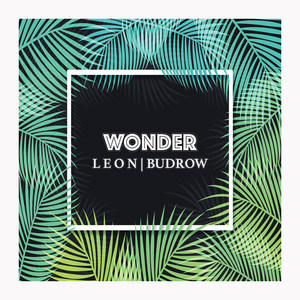 Wonder