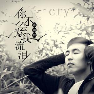 你不会为我流泪