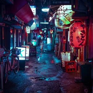 Phoenix Rebirth (Explicit)