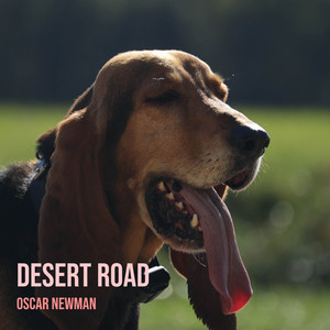 Desert Road