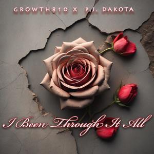 I Been Through It All (feat. PJ Dakota)