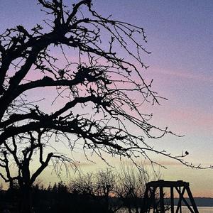 through the fog (Explicit)