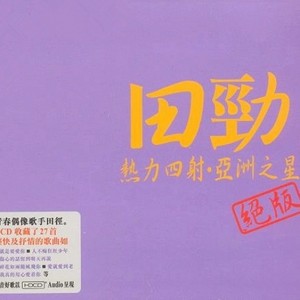 田劲 - 人不痴狂枉少年