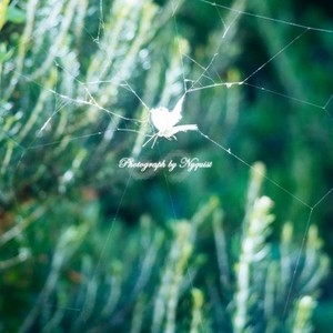 BTS - Ma City (Yuqing Remix)