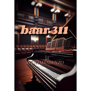 Baar 311