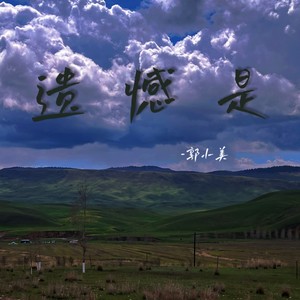 遗憾是-郭小美