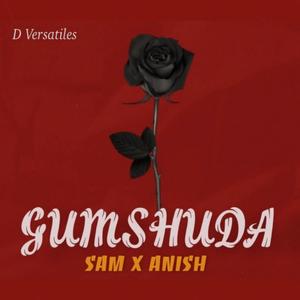 Gumshuda (feat. Anishrealmusic & Sam Qureshi) (Explicit)