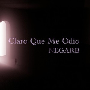 Me perdí en Venecia