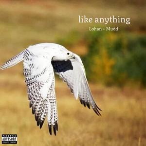 like anything (feat. Connie Mudd) [Explicit]