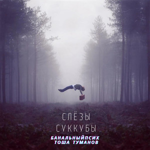 Слёзы Суккубы