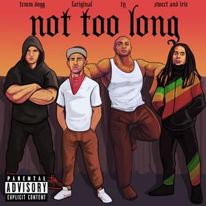 Not Too Long (feat. TY, Temm Dogg & Sweet & Irie) (Explicit)