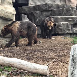 Can't Take No Risk (Explicit)