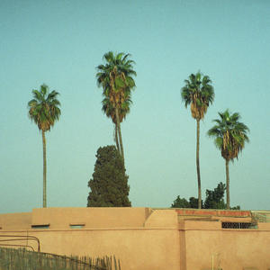 palm trees (Explicit)