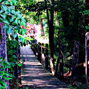 Vision Of LiFE (Explicit)