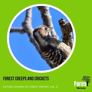 Forest Creeps and Crickets - Nature Sounds of Forest Species, Vol. 6