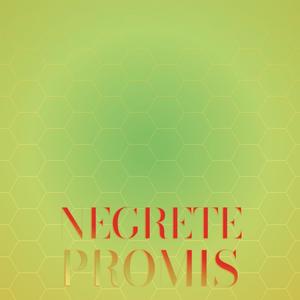 Negrete Promis