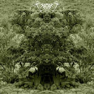 Retorno a la Oscuridad (Explicit)