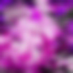 Naked (feat. WHiTESNXKE) (Explicit)