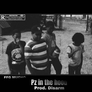P'z in the hood (feat. Prod. Disarm) (Explicit)
