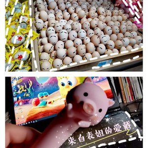 我的姑娘 她在远方
