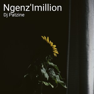 Ngenz'Imillion (Explicit)