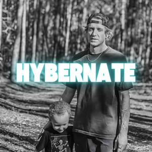 Hybernate