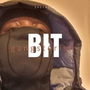 Bit Gangsterish (Explicit)