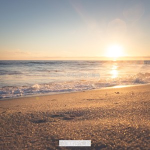 办公事务流行的波萨诺伐舞曲