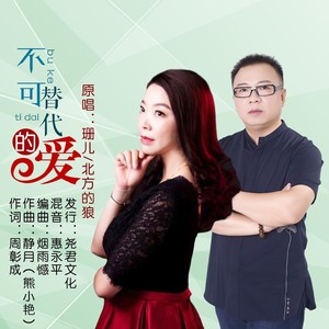 不可替代的爱 (伴奏)
