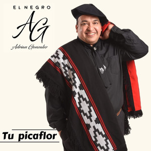 Tu Picaflor