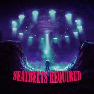 SeatBelts Required (Explicit)