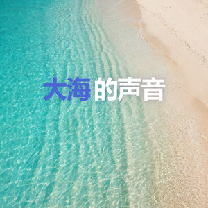 大海的声音 (白噪音)