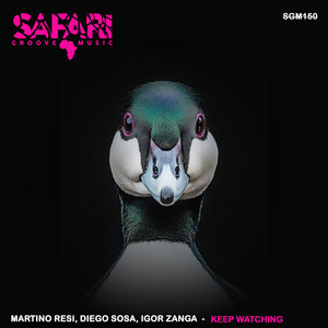 Dance All Night (Original Mix)