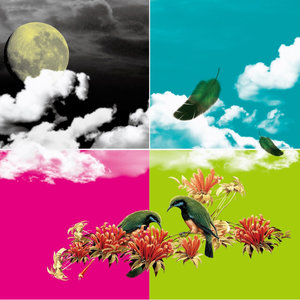 春夏秋冬 (Seasons)