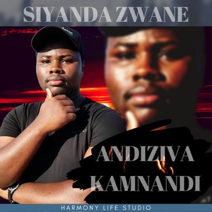 Andiziva Kamnandi